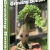 Growing Bonsai